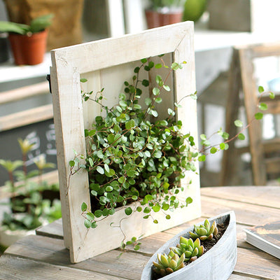 Wall-mounted flower frame