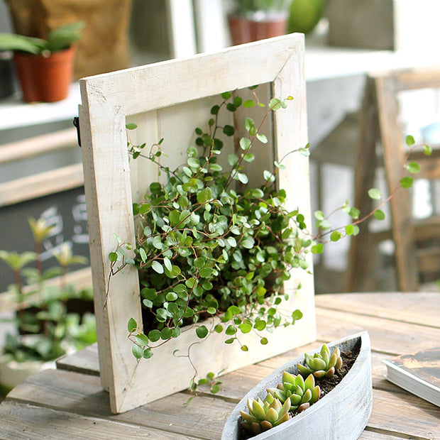 Wall-mounted flower frame